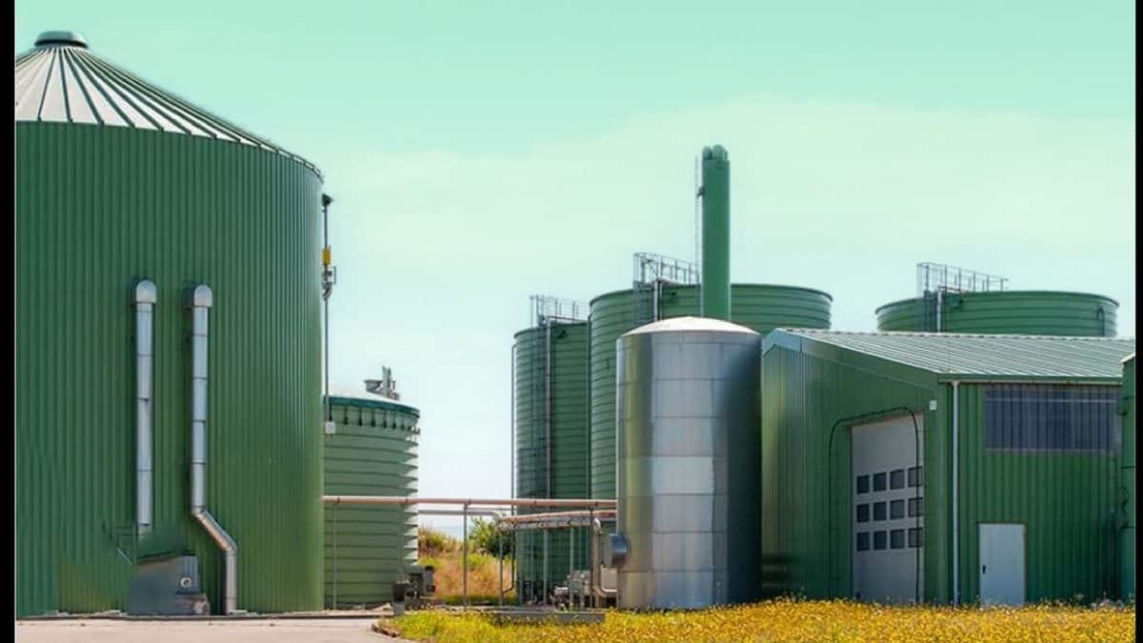 Synergistic Strategies: Unleashing CBG’s Potential through Collaborative Innovation